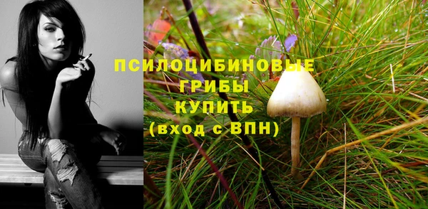соль ск Аркадак