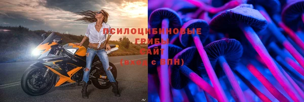 соль ск Аркадак