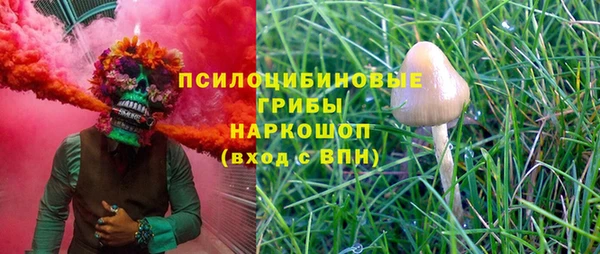 СК Армянск