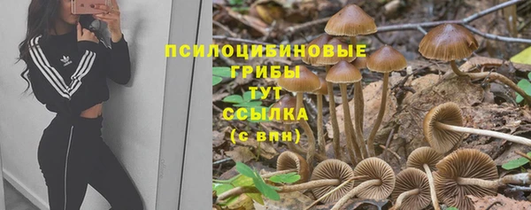 СК Армянск