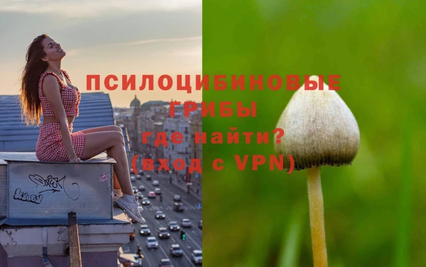 соль ск Аркадак