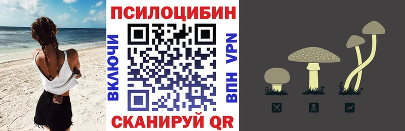ОМГ ОМГ зеркало  Бронницы  Псилоцибиновые грибы мицелий 